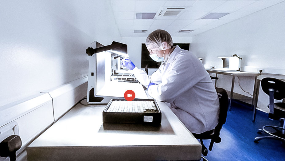 Room 19 Inspection Room Screenshot